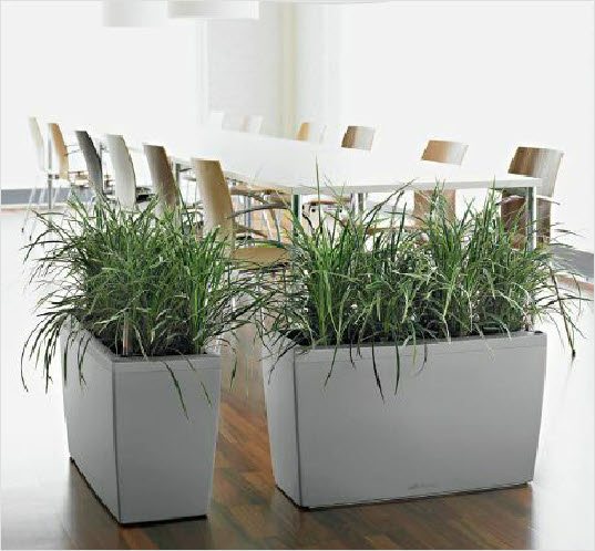 Lechuza range of planters