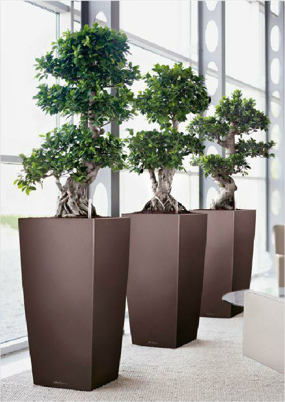 Lechuza range of planters